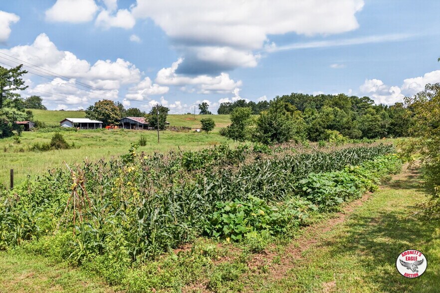 More Photos Of 2969 Moodyville Rd, Byrdstown General Retail For Sale
