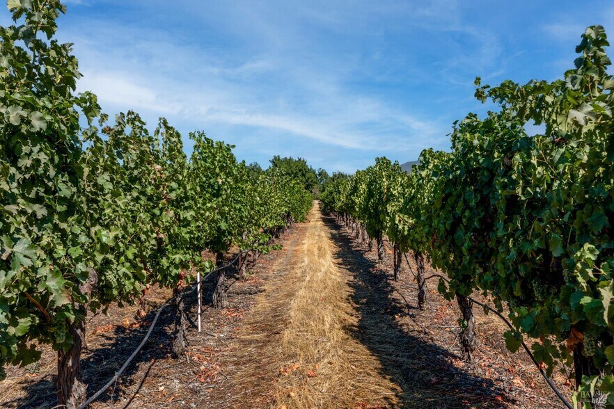 More Photos Of 2000 Clover Valley Rd, Upper Lake Land For Sale