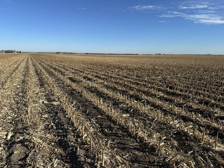 Primary Photo Of W. Schultz Road, Wood River Land For Sale