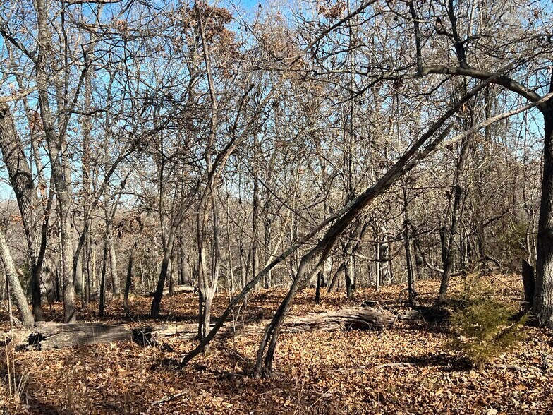 More Photos Of 312 Eagle Wing Dr, Theodosia Land For Sale