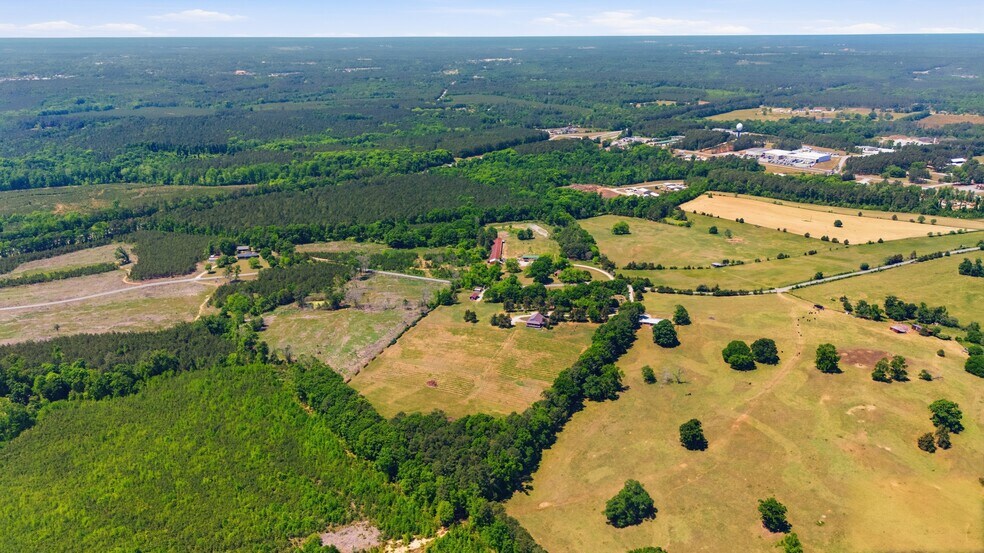 More Photos Of 1650 Dusty Rd, Newberry Winery Vineyard For Sale