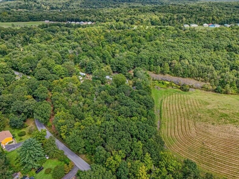 More Photos Of 90 Freetown Rd, Plattekill Land For Sale