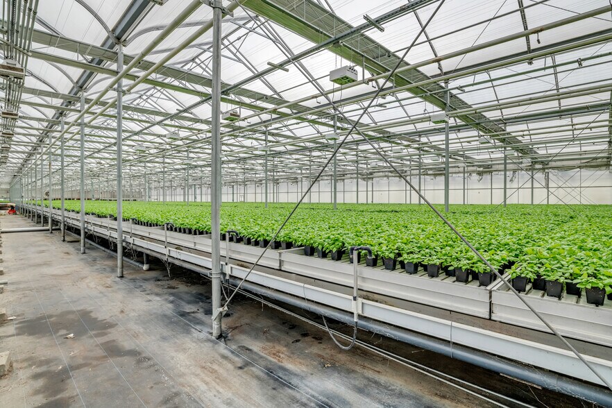 More Photos Of 62 Christian Ln, South Deerfield Industrial For Sale