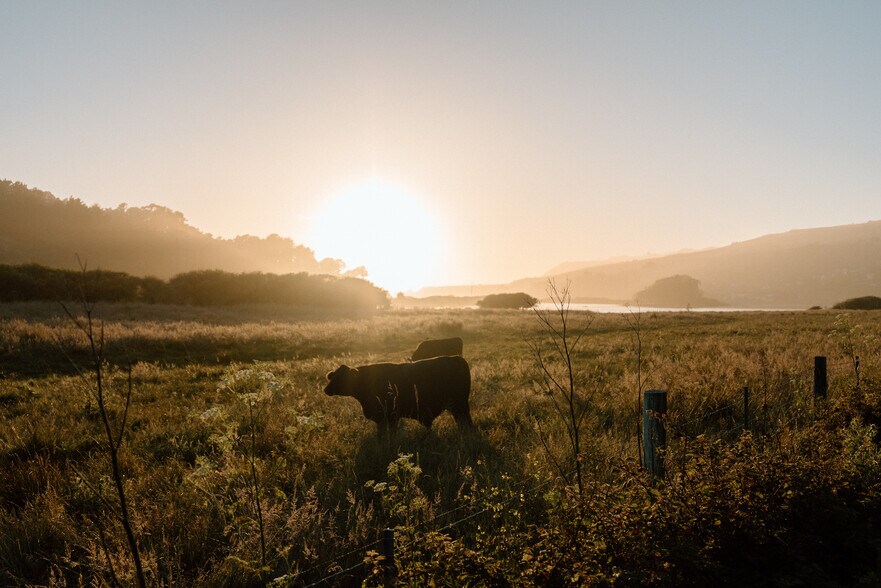 More Photos Of , Jenner Unknown For Sale