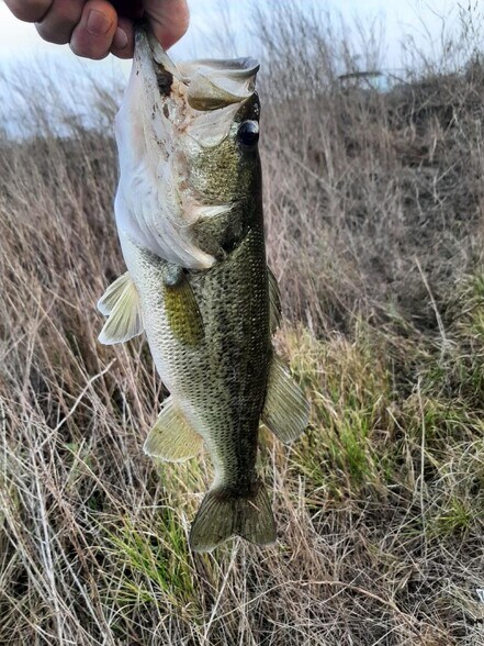 More Photos Of 1000 Hobbs, Robinson Land For Sale