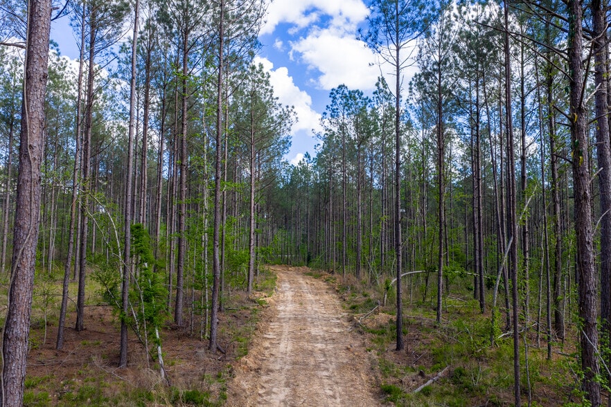 More Photos Of HWY 7, Mount Holly Land For Sale