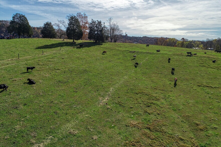 More Photos Of 311 Ross Cemetery Rd, Rocky Top Land For Sale