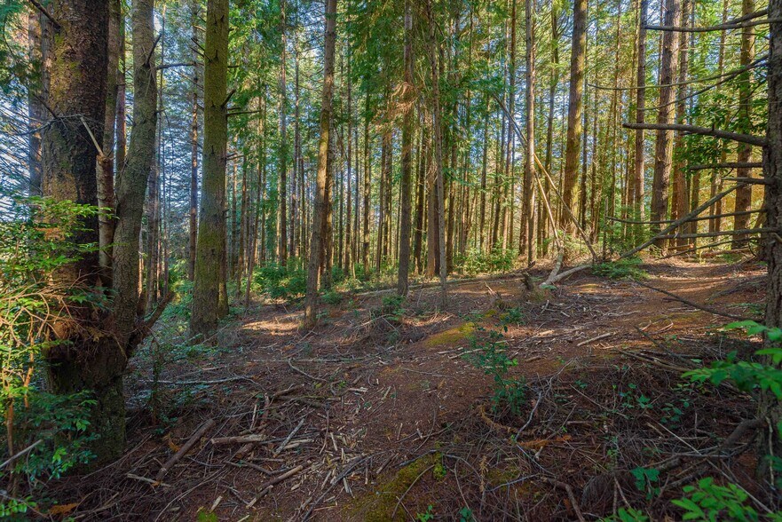 More Photos Of 0 Newmark ave, North Bend Land For Sale