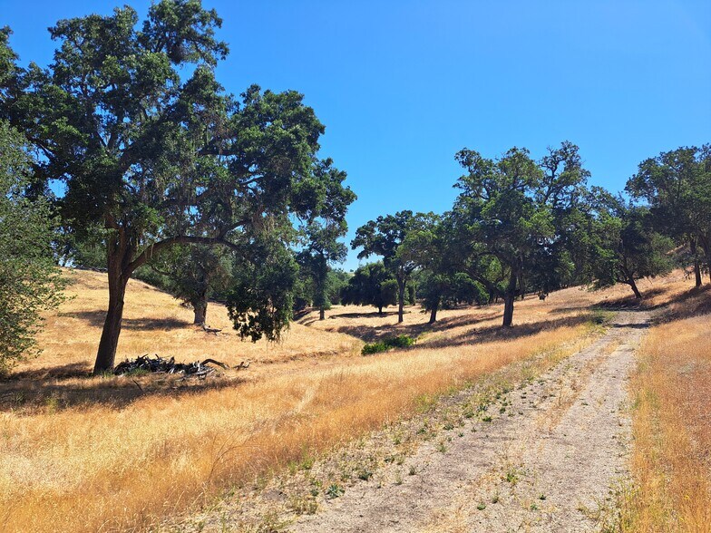 More Photos Of 993 Moss Ln, Templeton Land For Sale
