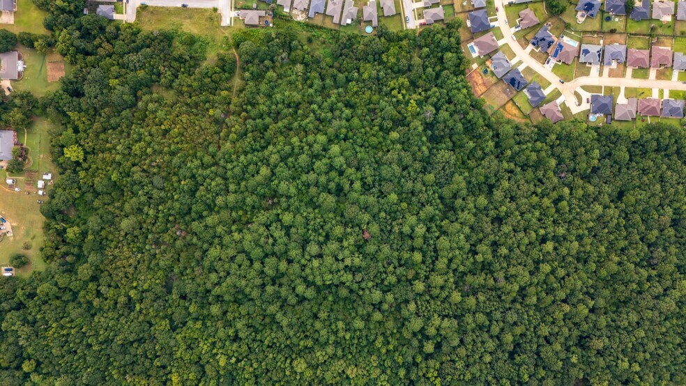 More Photos Of 000 Meadow View Ln, Flint Land For Sale