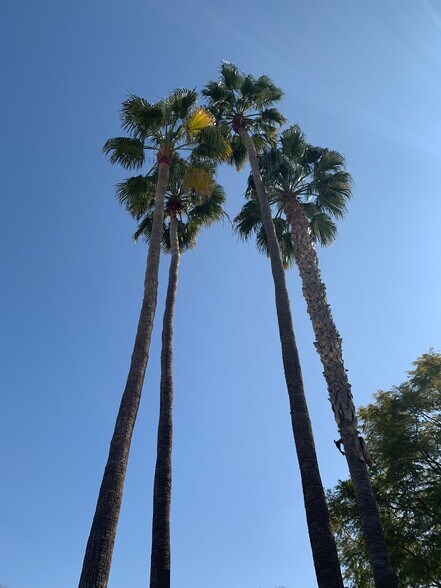 More Photos Of 1400 Chester Ave, Bakersfield Office For Lease