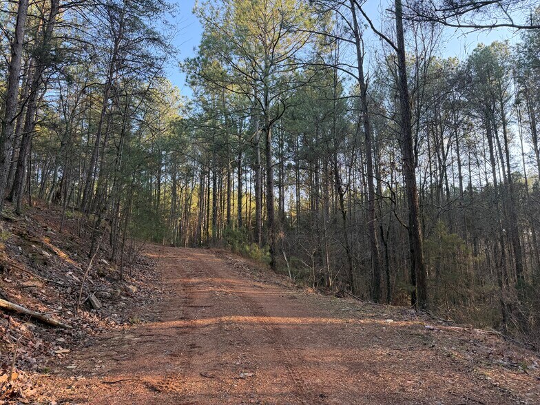More Photos Of 260 Arnold Rd NE, Fairmount Land For Sale