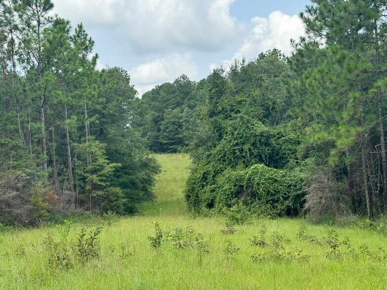 More Photos Of 0 Nokomis Road, Walnut Hill Land For Sale