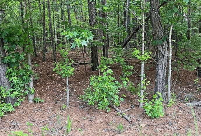 More Photos Of Jimmie Mayfield Blvd Fayetteville, GA 30215 United States, Fayetteville Land For Sale