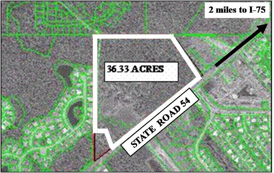 More Photos Of State Road 54, Wesley Chapel Land For Sale