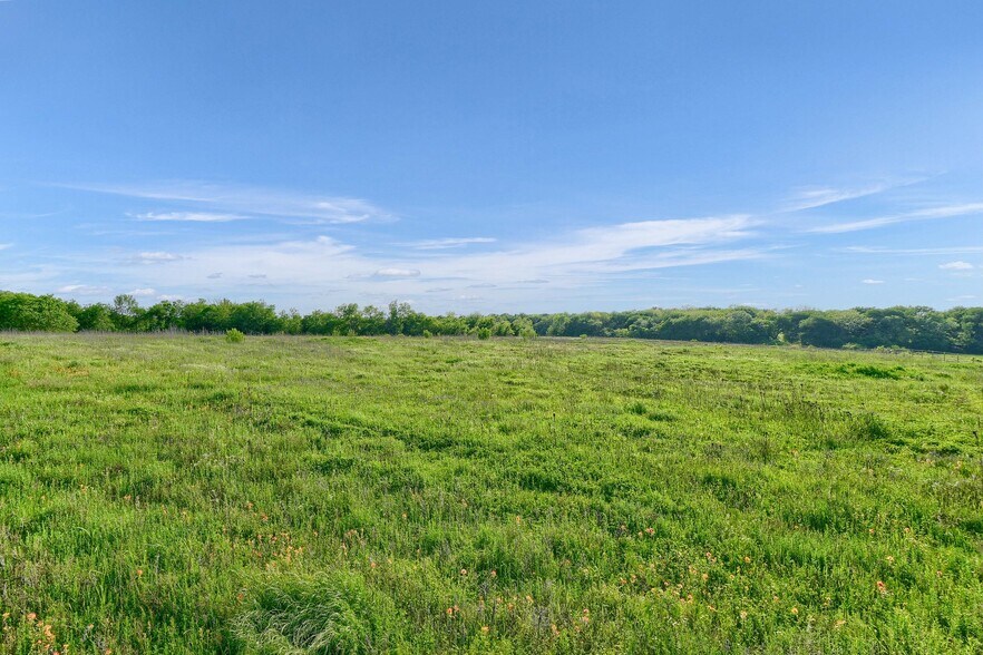 More Photos Of 000 Hwy. 289/Wright Rd., Sherman Land For Sale