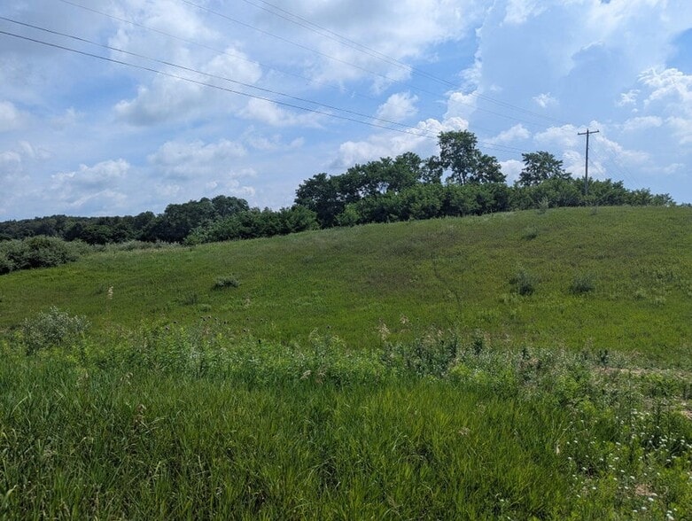 Primary Photo Of Lot 1 Vicary Road @ Meridian Rd. / US - 127, Cement City Land For Sale