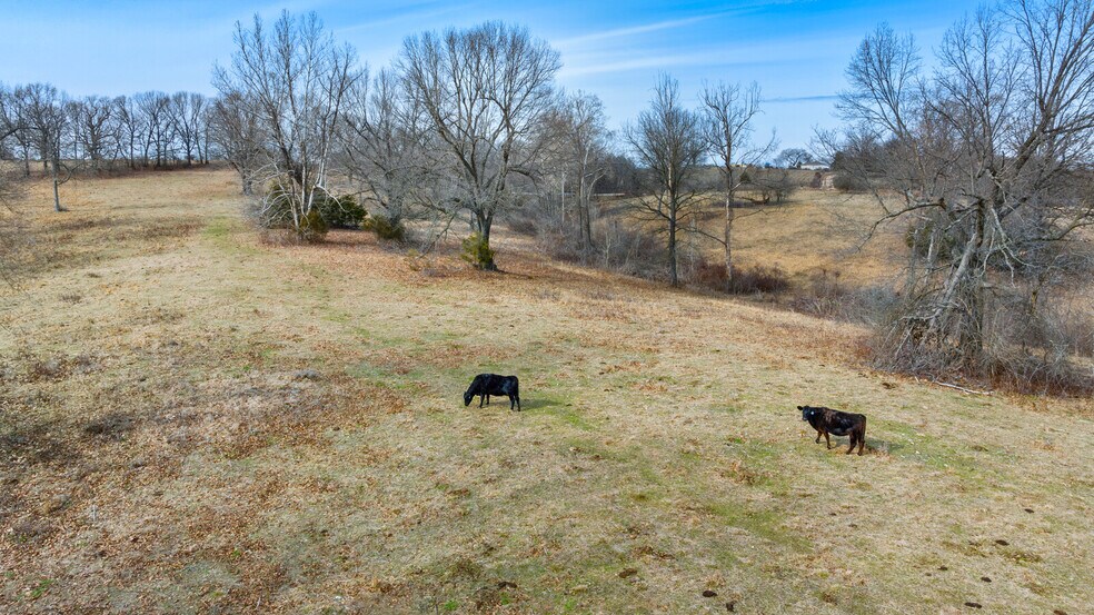 More Photos Of 17430 State HWY 0, Stark City Land For Sale