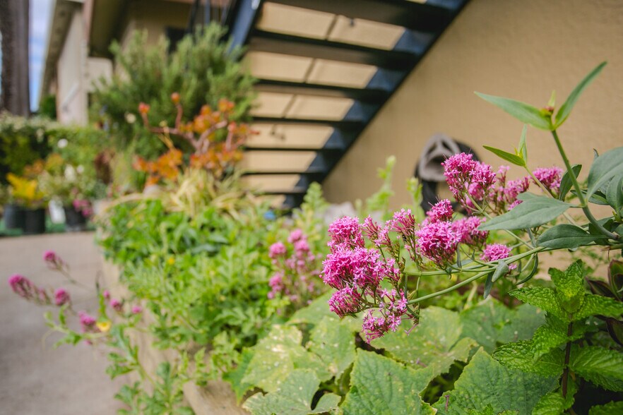 More Photos Of 4567-4575 Hamilton Ave, San Jose Apartments For Sale