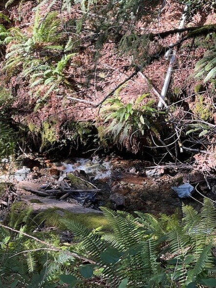 More Photos Of Highway 199, Crescent City Land For Sale