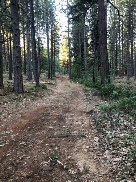 More Photos Of 1989 Tract Shingletown Ridge Rd, Shingletown Land For Sale