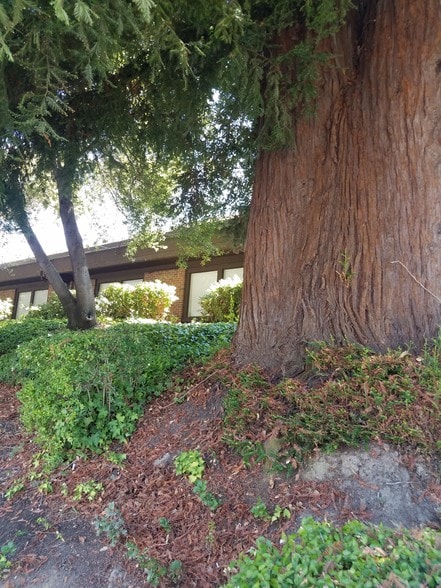 More Photos Of 9706 Fair Oaks Blvd, Fair Oaks Office For Sale