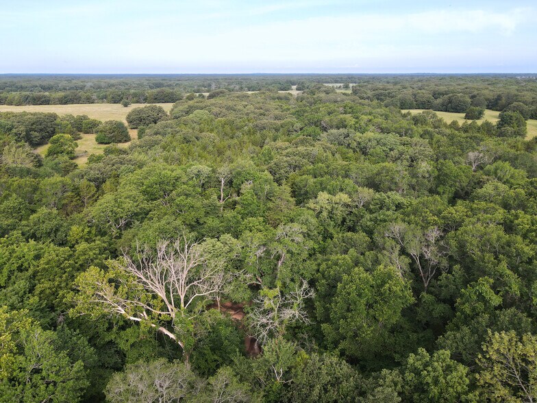 More Photos Of Intersection of FM 2029 and FM 409, Telephone Land For Sale
