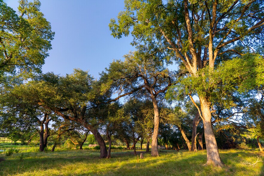 More Photos Of 5150 Purgatory Rd, Canyon Lake Land For Sale