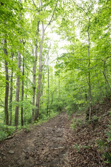 More Photos Of HWY 515 & Hidden Creek rd, Jasper Land For Sale