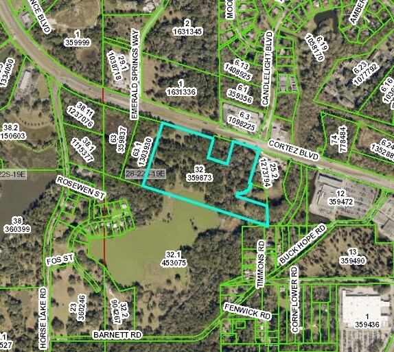 More Photos Of 19200 Cortez, Brooksville Land For Sale