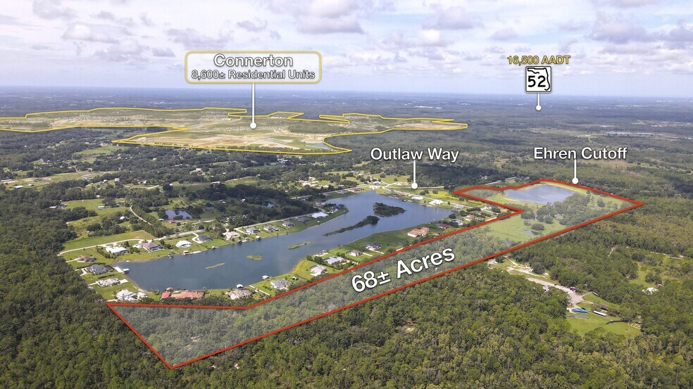 Primary Photo Of 10460 Ehren Cutoff, Land O' Lakes Land For Sale