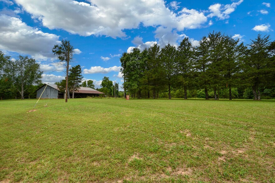 More Photos Of 29668 Farm Road 1268, Golden Land For Sale