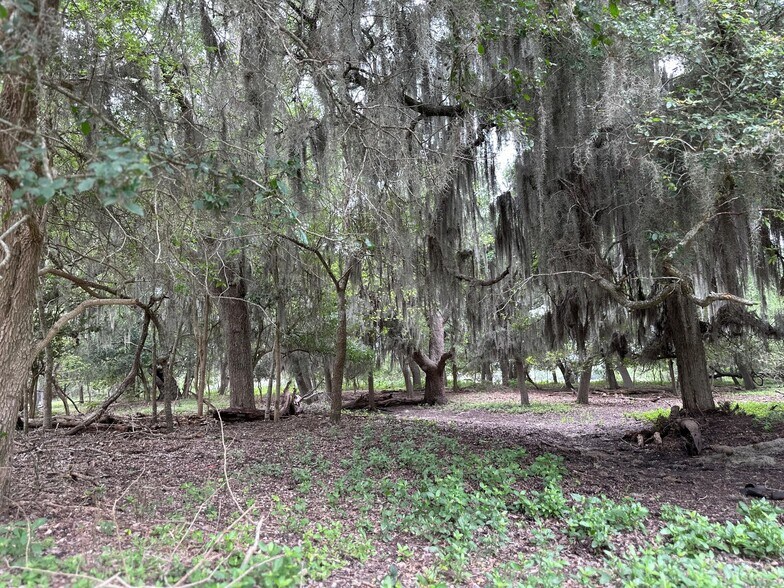 More Photos Of 5734 County Road 305, Beeville Land For Lease