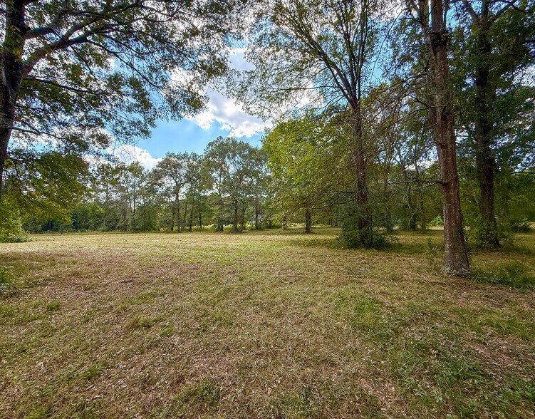 More Photos Of 1 Mount Zion Road, New Waverly Land For Sale
