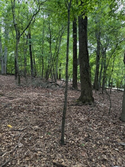 More Photos Of 357 Linwood dr, Gainesville Land For Sale
