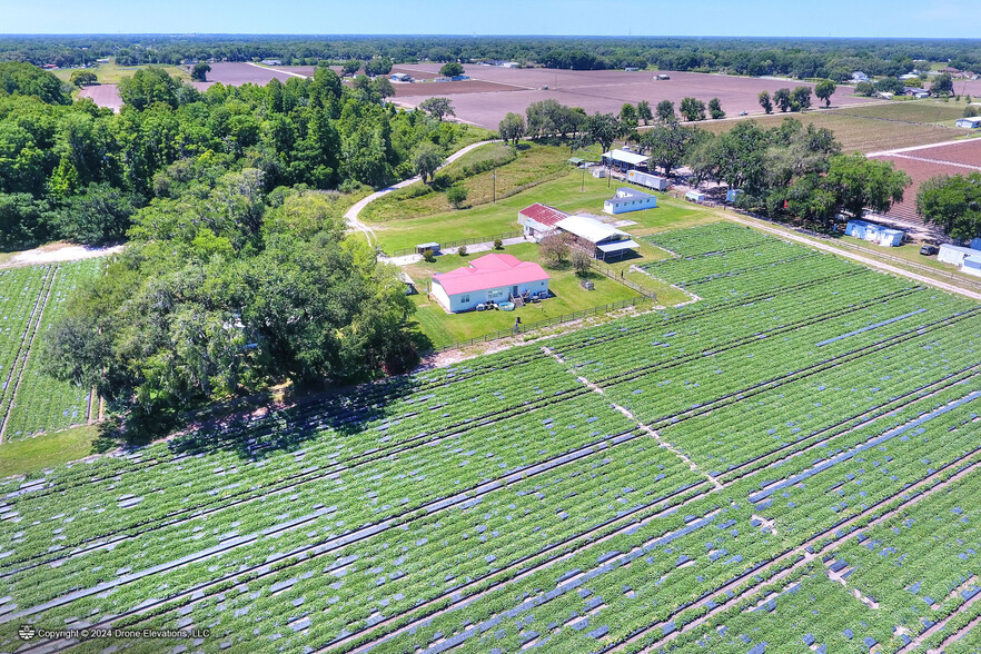 Primary Photo Of 5625 Stafford Rd, Plant City Land For Sale