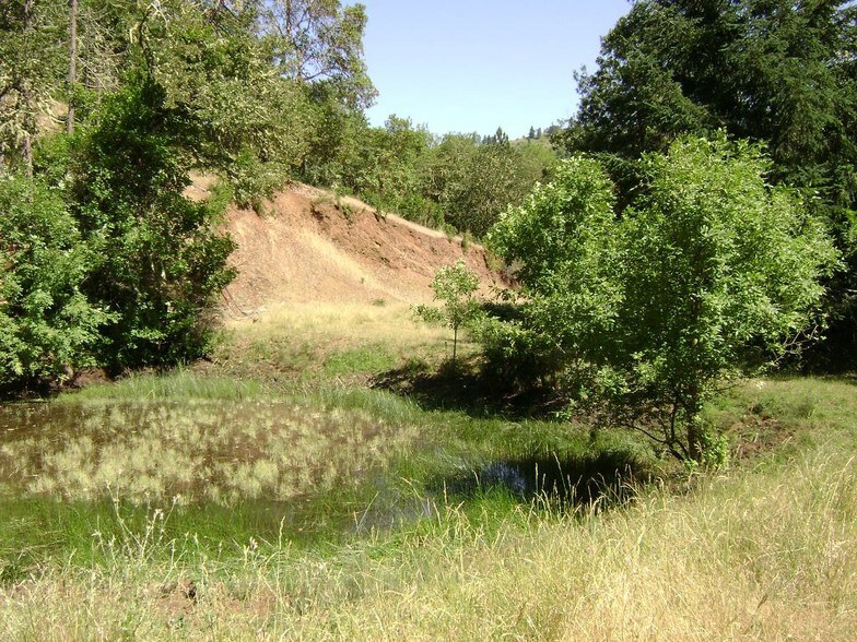 More Photos Of Newton Creek Rd, Roseburg Land For Sale