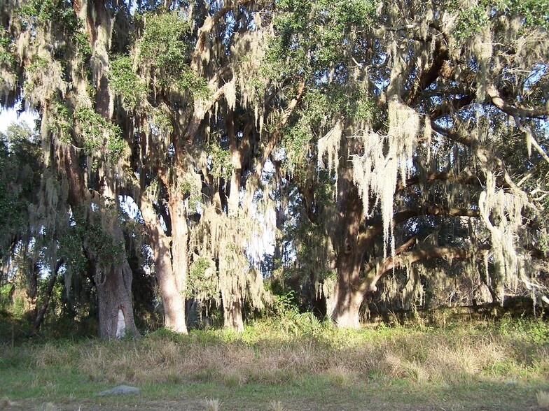 More Photos Of Powell Rd, Brooksville Land For Sale