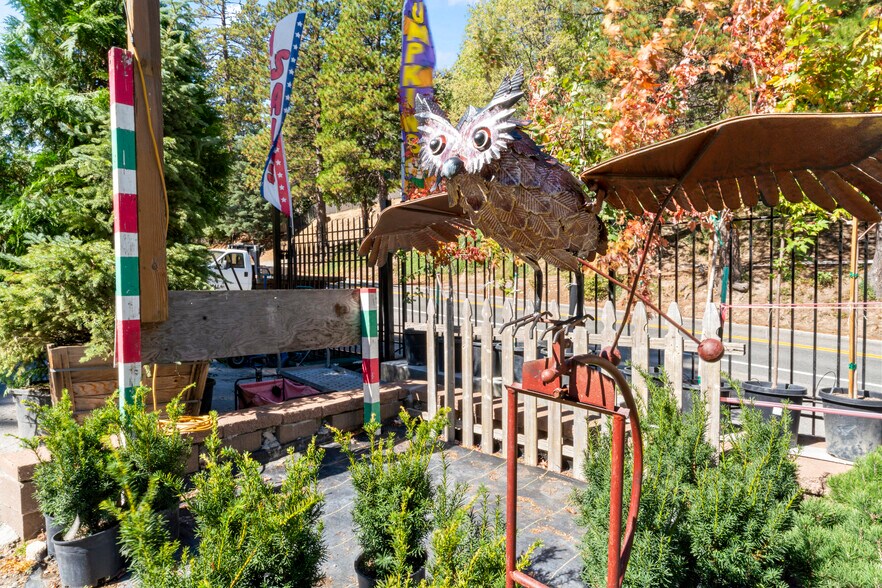 More Photos Of 303 CA-173 Hwy, Lake Arrowhead Garden Center For Sale