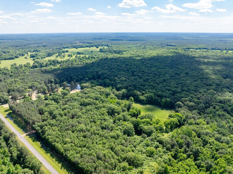 More Photos Of 17631 Farm Road 1159, Clarksville Land For Sale
