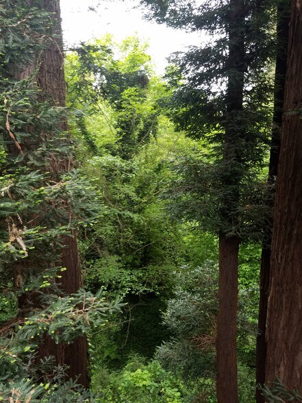 More Photos Of 9019 Soquel Dr, Aptos Office For Lease