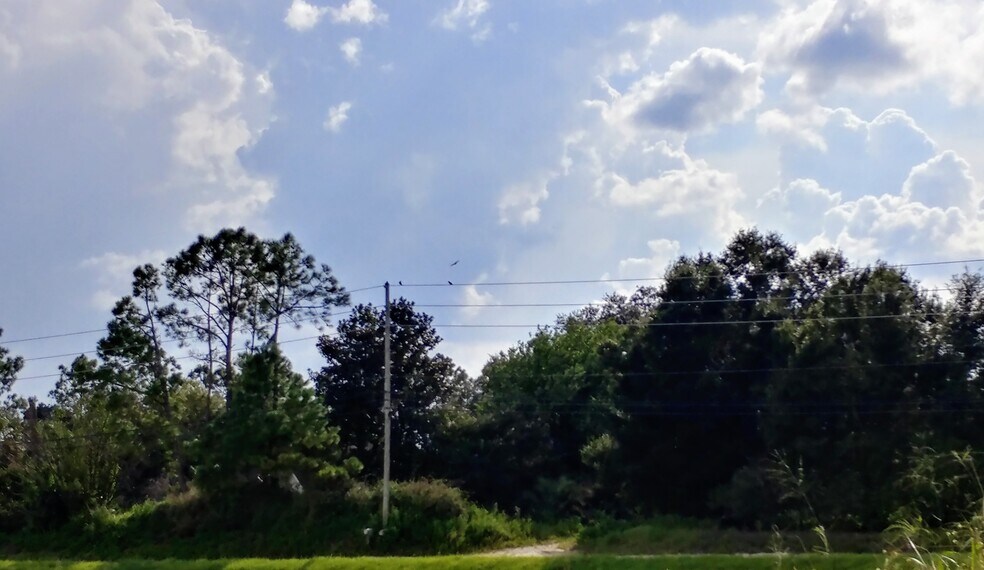 More Photos Of , Zephyrhills Land For Sale