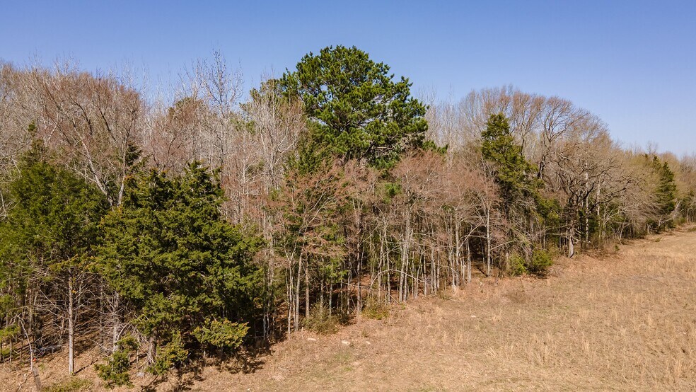 More Photos Of 16558 State Highway 155, Tyler Land For Sale