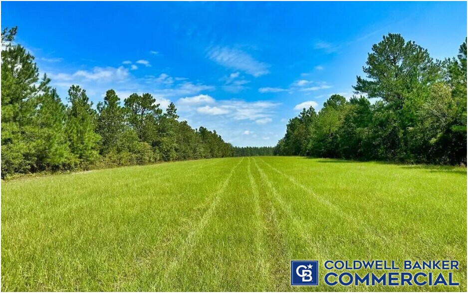 More Photos Of 1340 Clayton Rd, Ridge Spring Land For Sale