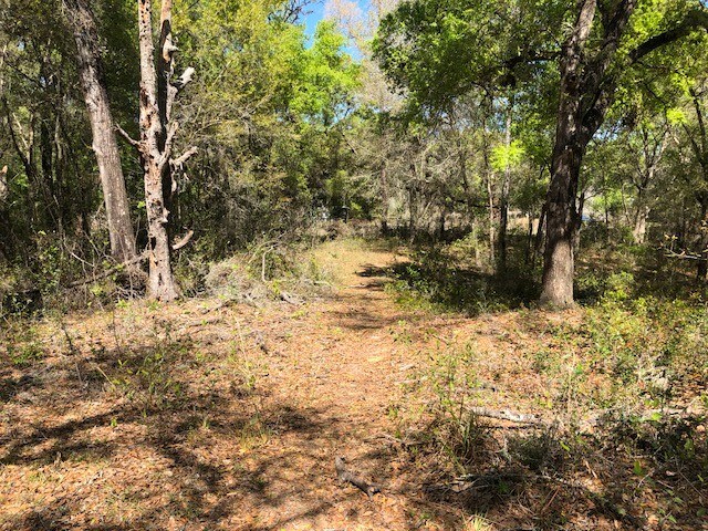 More Photos Of 2001 N Highway 41 Hwy, Inverness Land For Sale