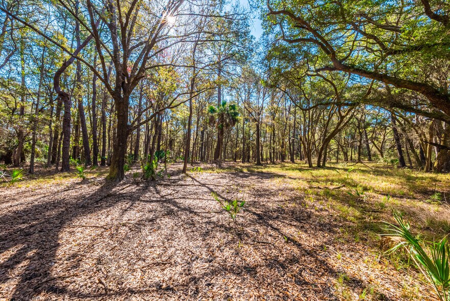 More Photos Of 0 King Rail Lane, Edisto Island Land For Sale