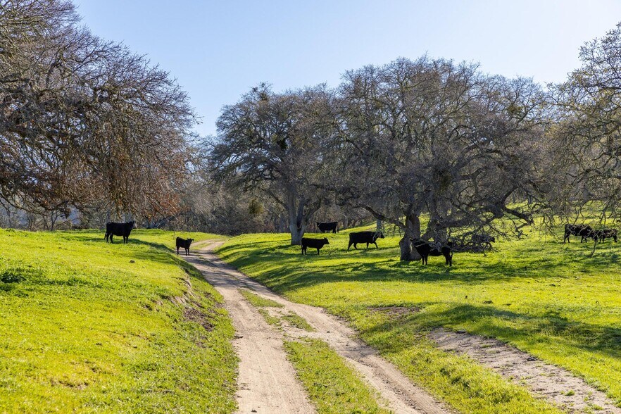 More Photos Of 38633 E Carmel Valley Rd, Carmel Valley Land For Sale