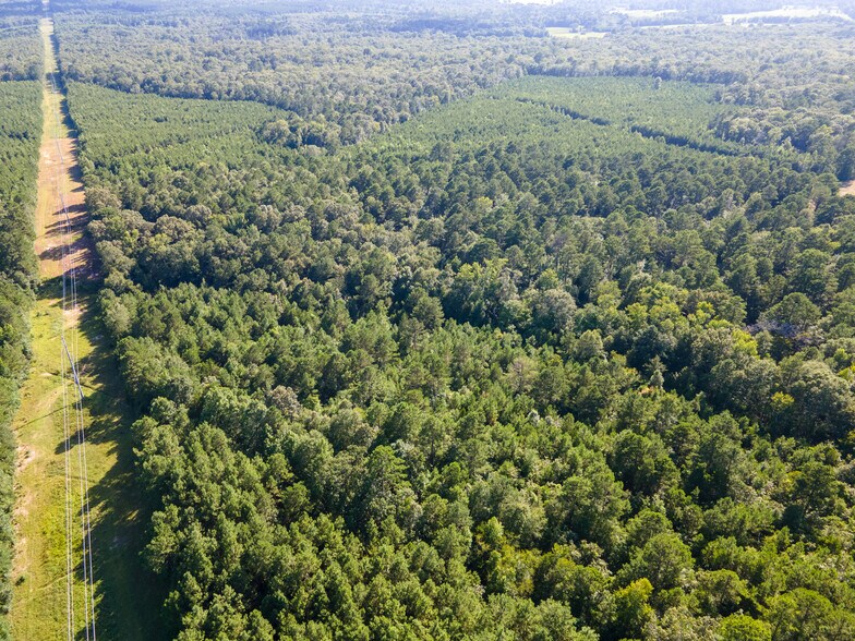 More Photos Of 2539 FM 995, Atlanta Land For Sale