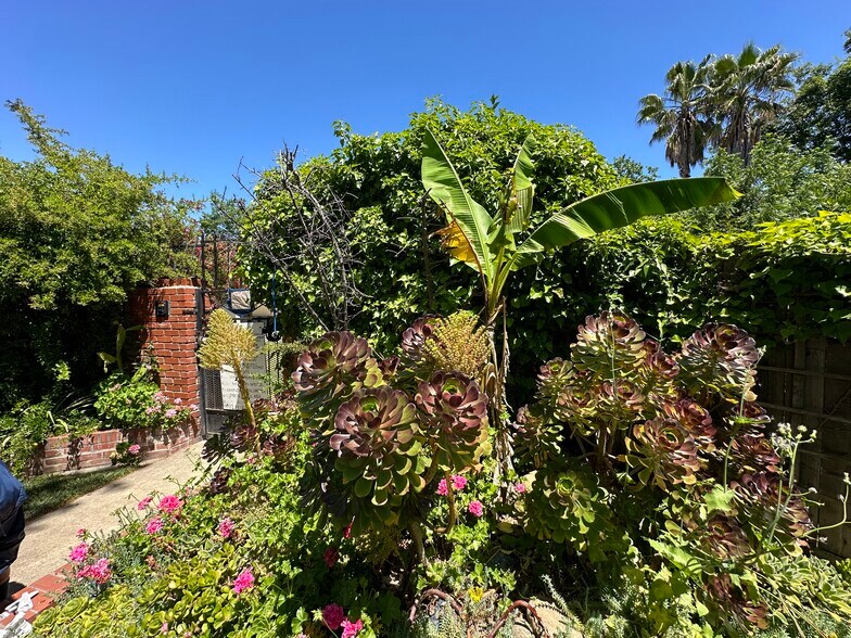 More Photos Of 834 Cathedral ct, Sacramento Land For Sale