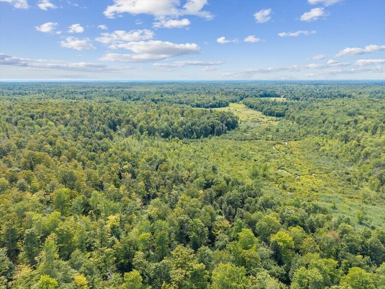 More Photos Of 0 County 11 Rt, West Monroe Land For Sale